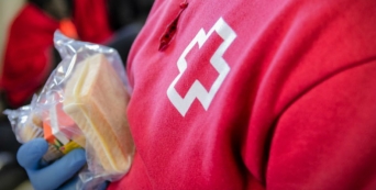 Cruz Vermelha no resgate a 630 migrantes e refugiados em Valência